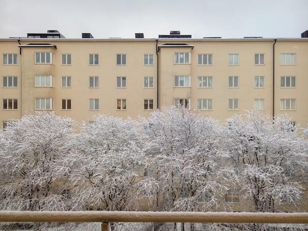 Чмоня тоскует на ядерной зиме...