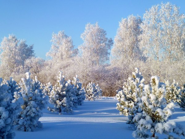 Красивые картинки Природа зима большие ...