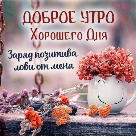 Осень… Доброе утро! ☀️🍂 картинки ...