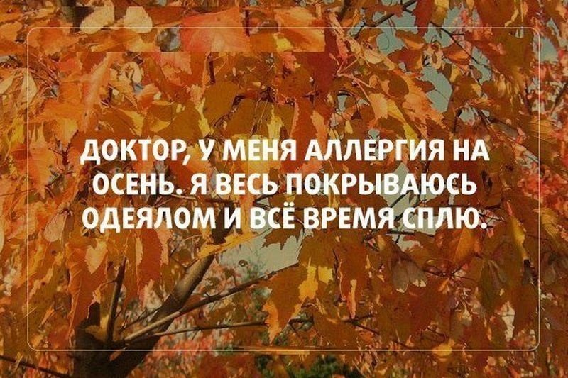 Смешные картинки Про осень прикольные с ...