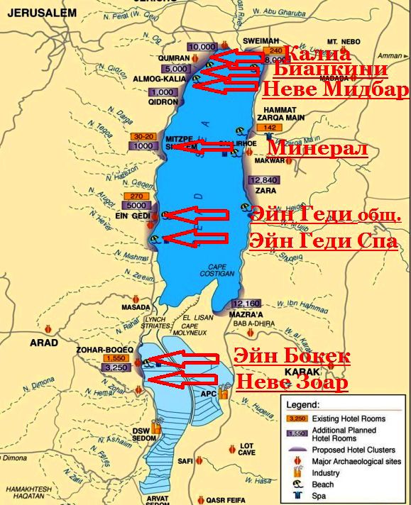 Мертвое море на карте и 12 интересных фактов 2024 - abal.com.ua
