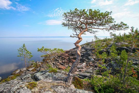 К морю за 15 тысяч: Архангельск — Белое море, хрустящие ...