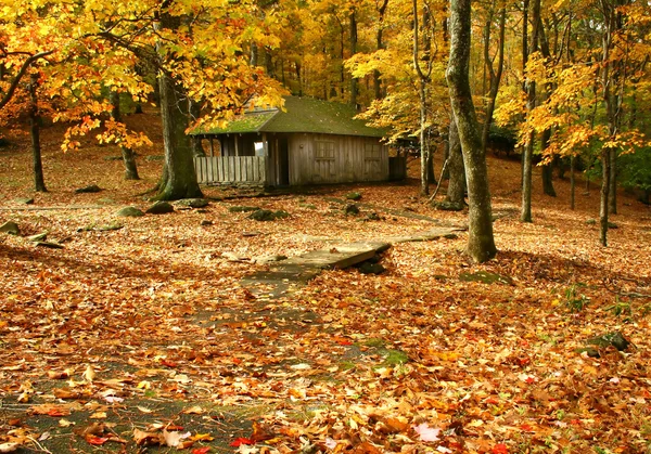 Скачать картинки Осенний лес озеро, стоковые фото Осенний лес ...