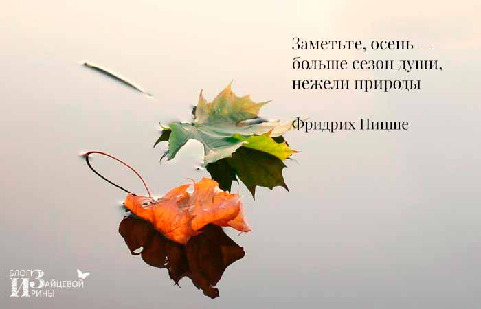 🍂 Осенние цитаты из любимых книг Осень — это время уюта ...