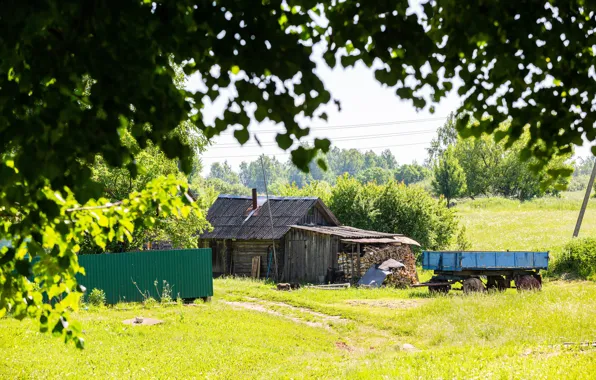 Летом в деревне | Пикабу