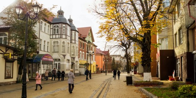 Золотая осень в Александровском парке ...