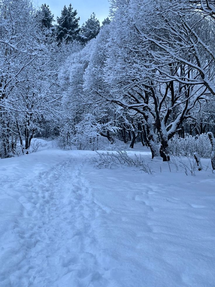 Зимовий фон - картинки и фото (55 шт)