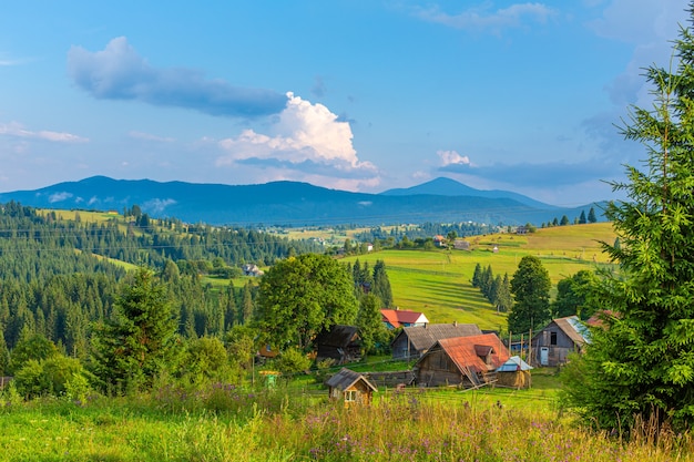 Картинки лето в деревне (70 фото)