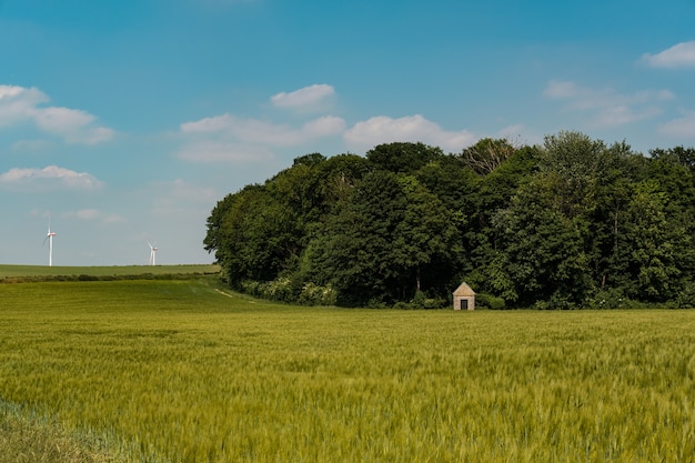 село ясиня в украинских карпатах летом ...