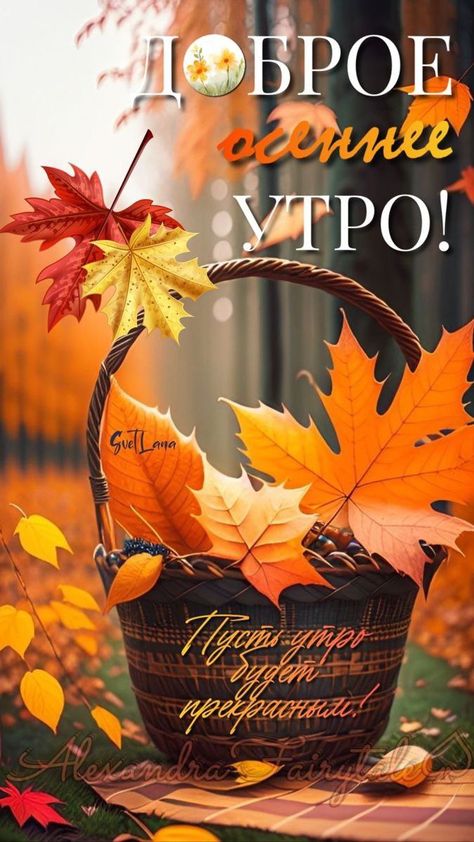 Доброе утро! Четверг.