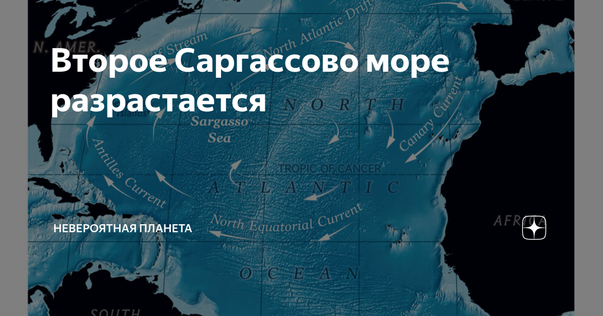 Какие тайны хранит Саргассово море ...