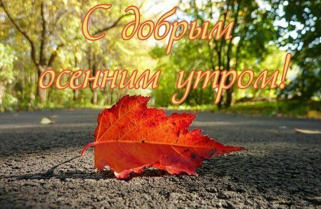 Открытки доброй осенней ночи (56 шт)