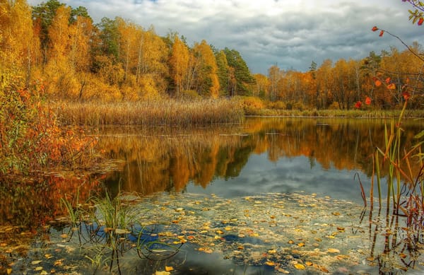 Саврасов. Аллея. пасмурно и холодно ...