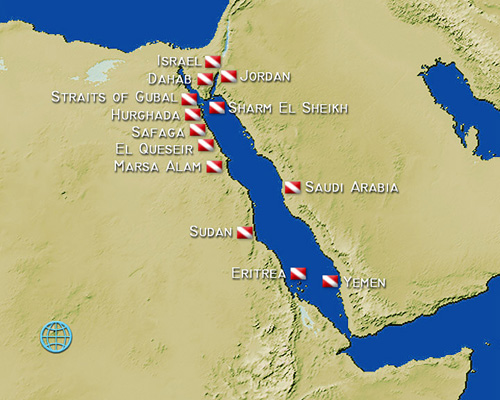 КАК В АКВАРИУМЕ‼️ПОДВОДНЫЙ МИР КРАСНОГО МОРЯ🇪🇬ШАРМ-ЭЛЬ ...