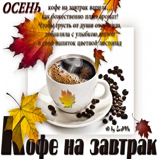 Роман | Доброе утро☀️☕🍁 Всем хорошего дня ...