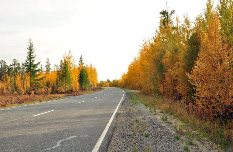 Земля с/х назначения, 6 соток, купить за 650000 руб, Сургут ...