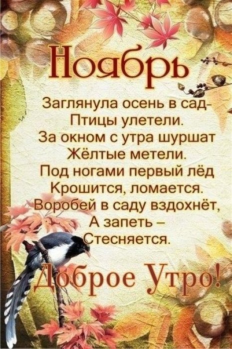 Модная одежда - Доброе утро ...