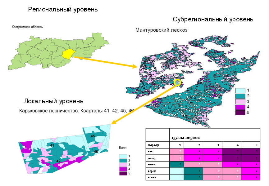 Департамент лесного комплекса Кузбасса