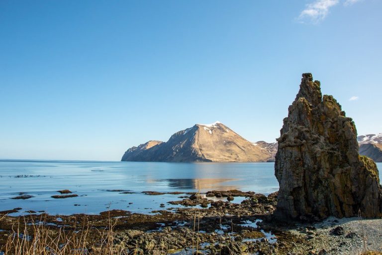 Берингово море: где находится на карте, фото, площадь ...