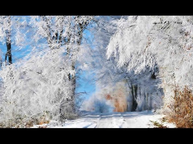 Зима — Википедия