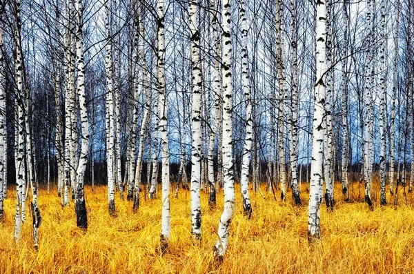 Осень березы на реке горы стоковое фото. изображение ...