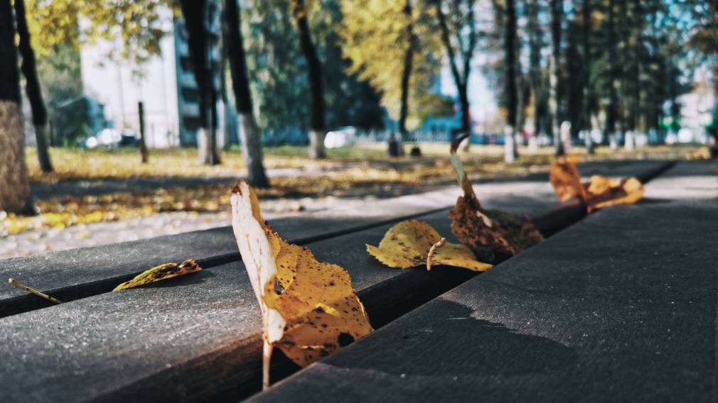 В Брянскую область на 4 дня пришла ...