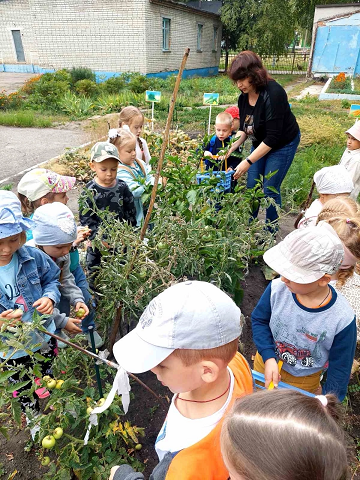 ГРЯДКИ В ПОРЯДКЕ Осень - время сбора урожая. А для быстрых ...