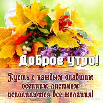 Доброе утро Октябрь!