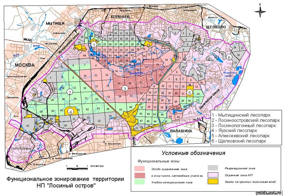 Лосиный остров и Фотография: истории из жизни, советы ...