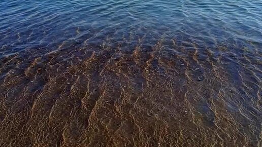 Экологи оценили воду в Краснодарском ...