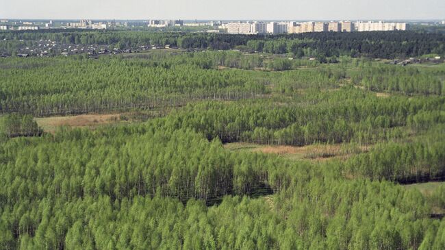 Каких животных можно встретить в парке «Лосиный остров ...