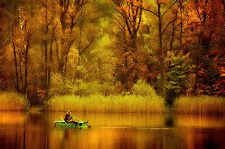 🍁 Красота увядающей природы. Осень дарит нам самые разные ...