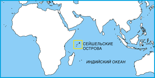 Африка может разделиться на две части и открыть миру новый ...