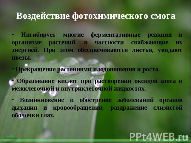 Смог: что это такое, как образуется, виды, последствия, защита