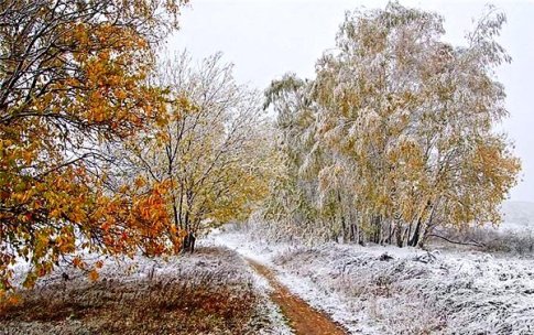 Веселые будни: Осень в искусстве ...