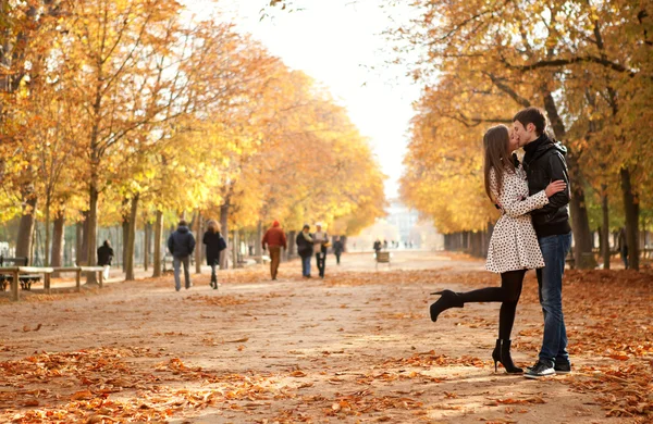 Autumn Осень Couple Пара Love Stores Фотосессия пары Лес ...