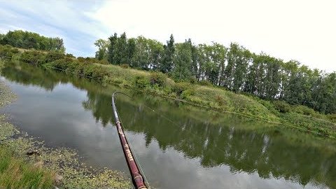 Трофейная рыбалка с Олегом Сарана ...