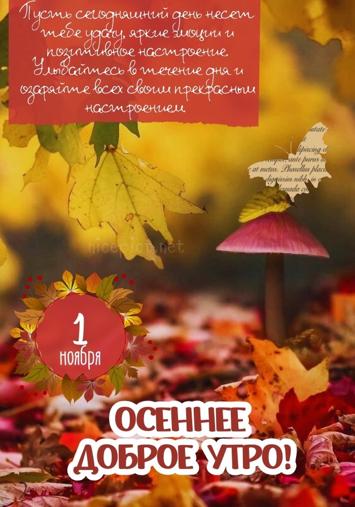 Galochka | 1 ноября 🍁🍁 Золотая осень ...