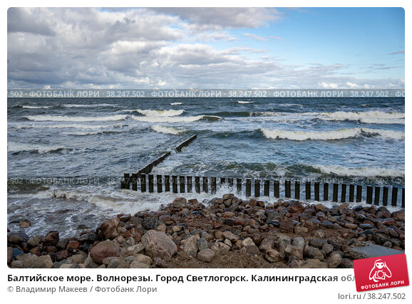 Фото Балтийского моря (125 фото)