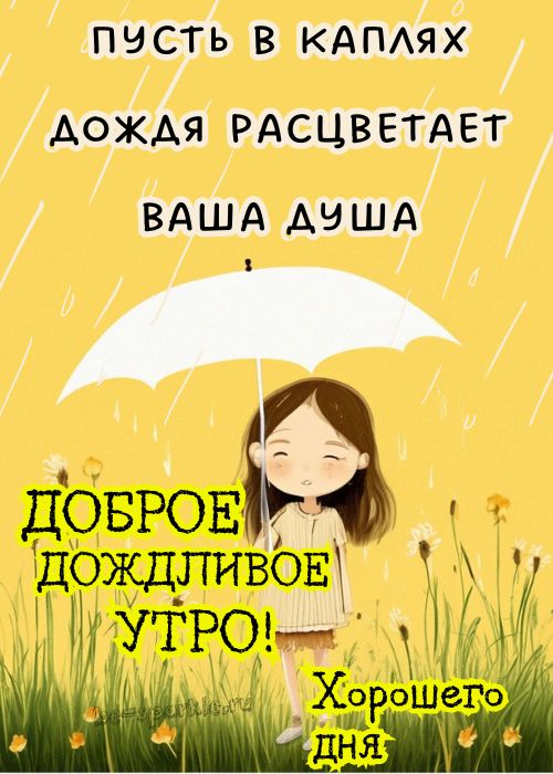 Alla - Всем доброе утро и хорошего дня 🌞, не смотря на дождь ...