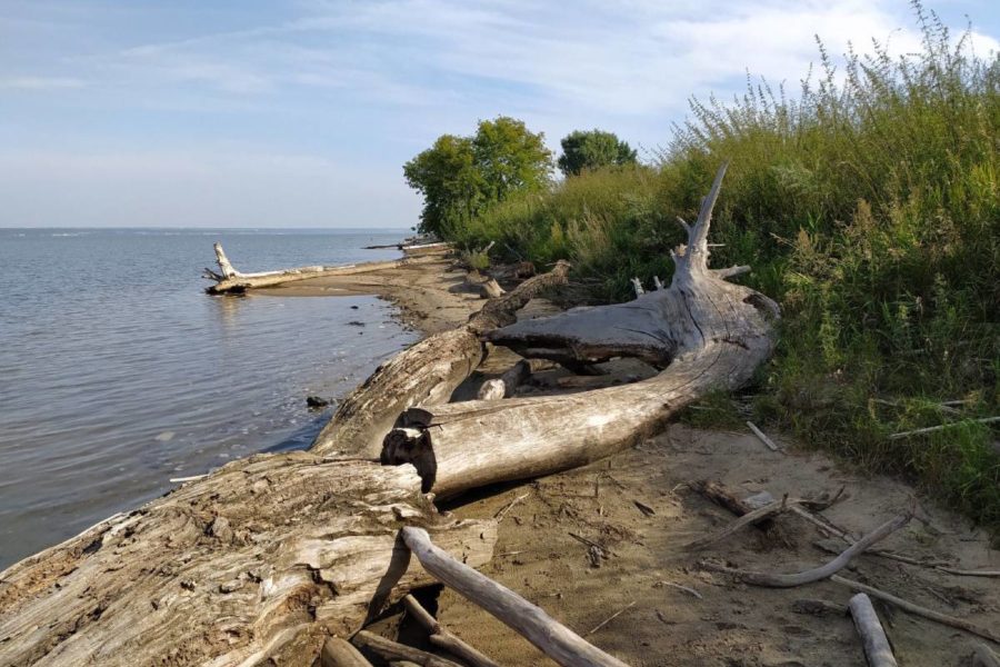 Море уснуло: в Новосибирской области ...