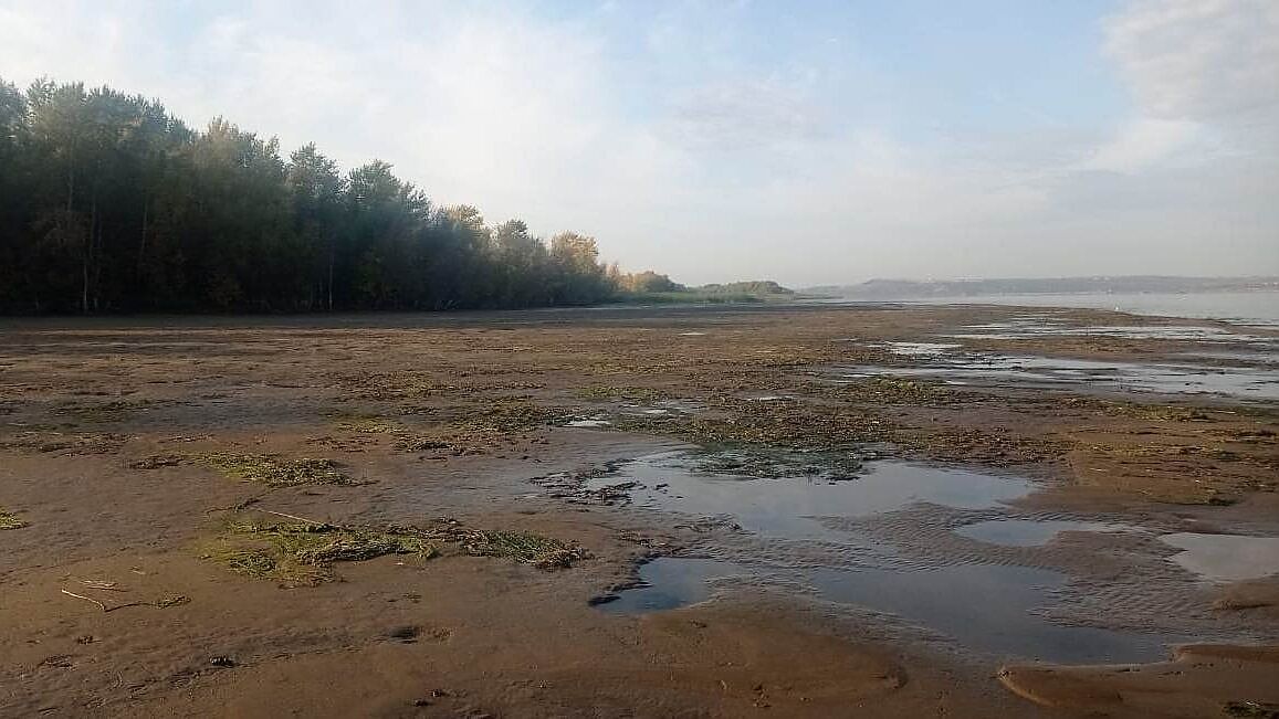 Осень на Волге» Пивень Елена и Аркадий холст/масло купить в ...