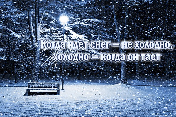 Обои зима, снег, пейзаж, природа, парк ...