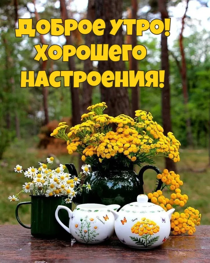 💗🌷🍁🍂🔆🍁🍂🌻💓🍁🍂🌷💗 Доброе утро, друзья ...