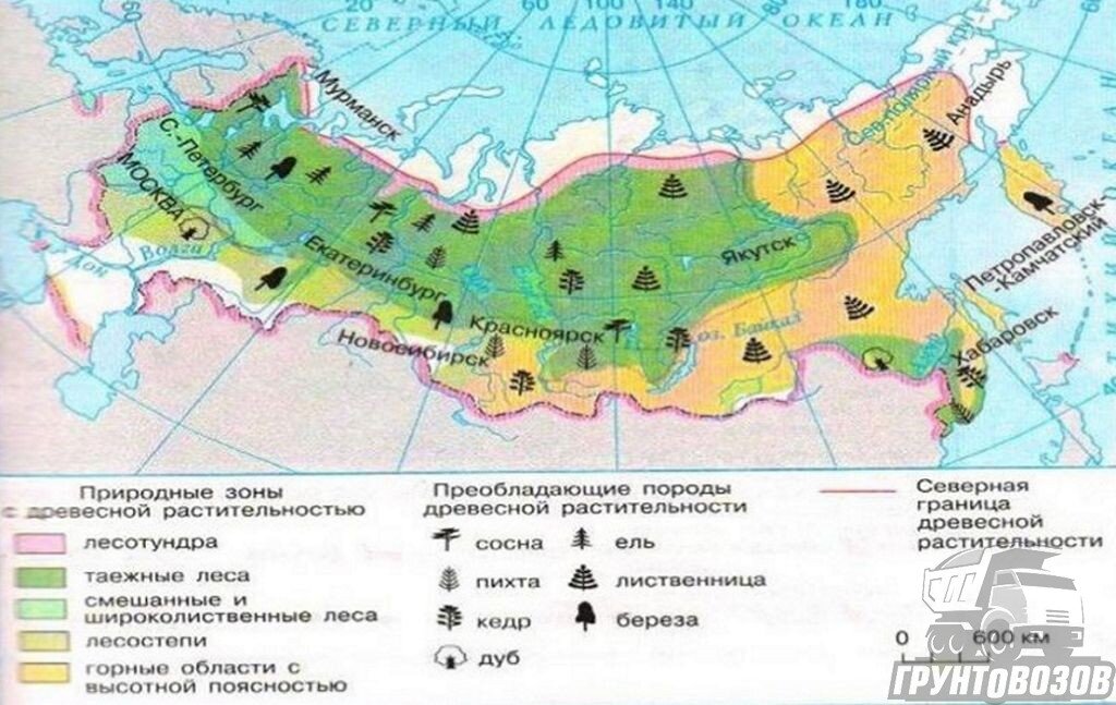 Конспект и презентация урока географии по теме: 