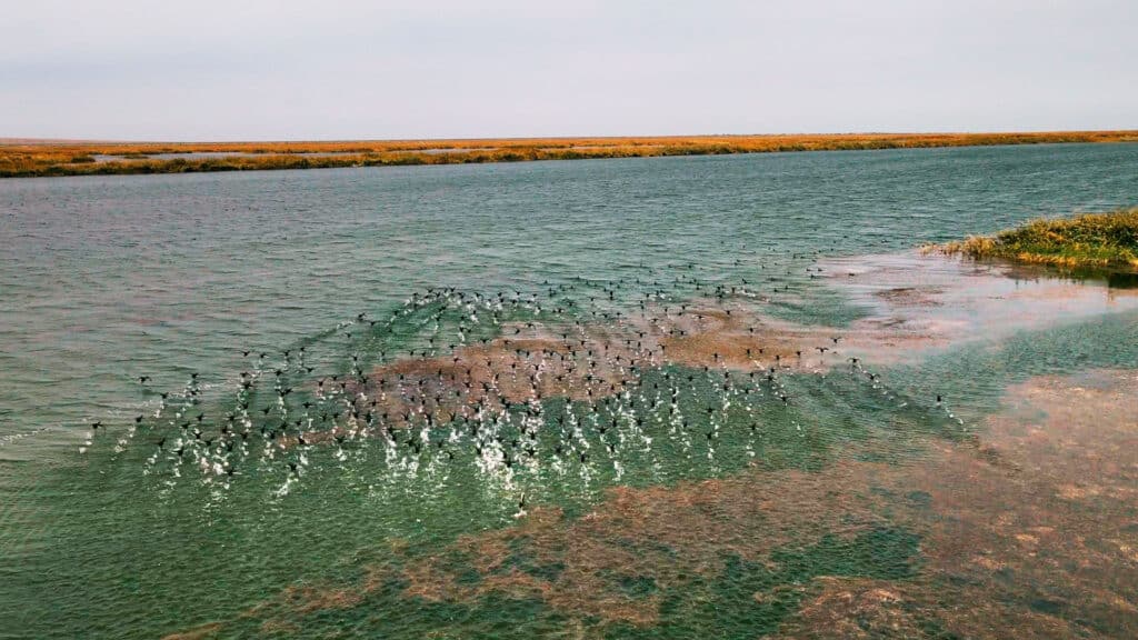 База данных по Аральскому морю