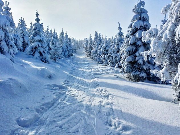 Russian winter. Russian road (Русская ...