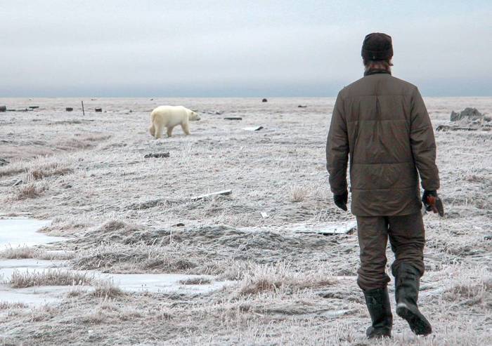 The Wrangel Island ...