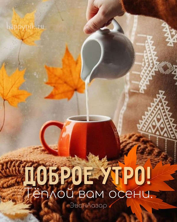 Осень… Доброе утро! ☀️🍂 картинки красивые с супер словами ...