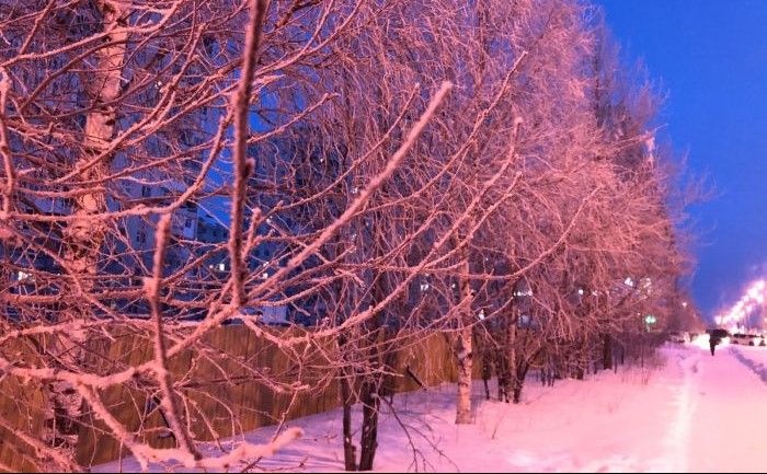 На трассе Сургут — Нижневартовск во ...